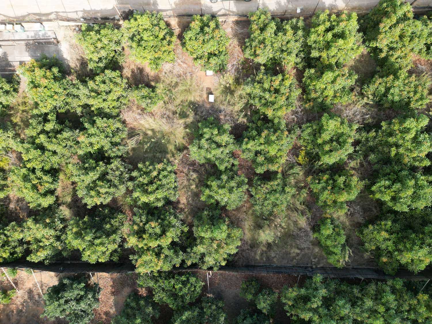 14 soverom Finca/Herregård til salgs i Motril med svømmebasseng - € 599 000 (Ref: 9304980)