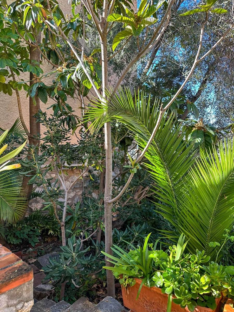 3 slaapkamer Huis te koop in Almunecar met garage - € 390.000 (Ref: 9415450)