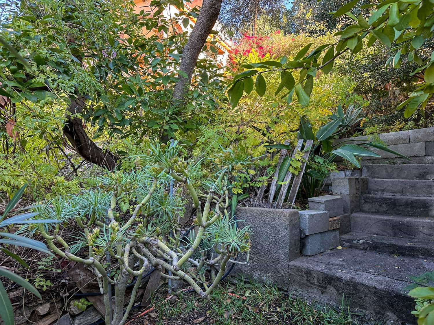 3 slaapkamer Huis te koop in Almunecar met garage - € 390.000 (Ref: 9415450)