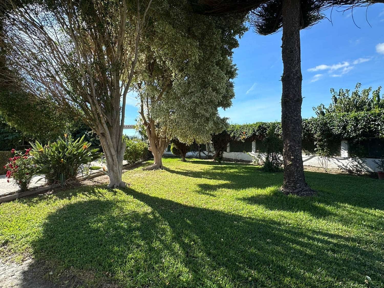 3 sypialnia Finka/Dom wiejski do wynajęcia w Salobrena z basenem - 900 € (Ref: 9424332)