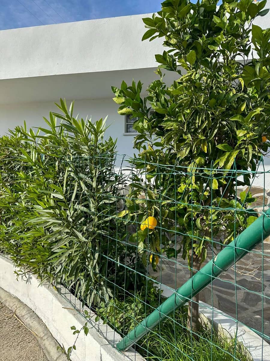 2 soverom Finca/Herregård til salgs i Salobrena med svømmebasseng - € 360 000 (Ref: 9451777)