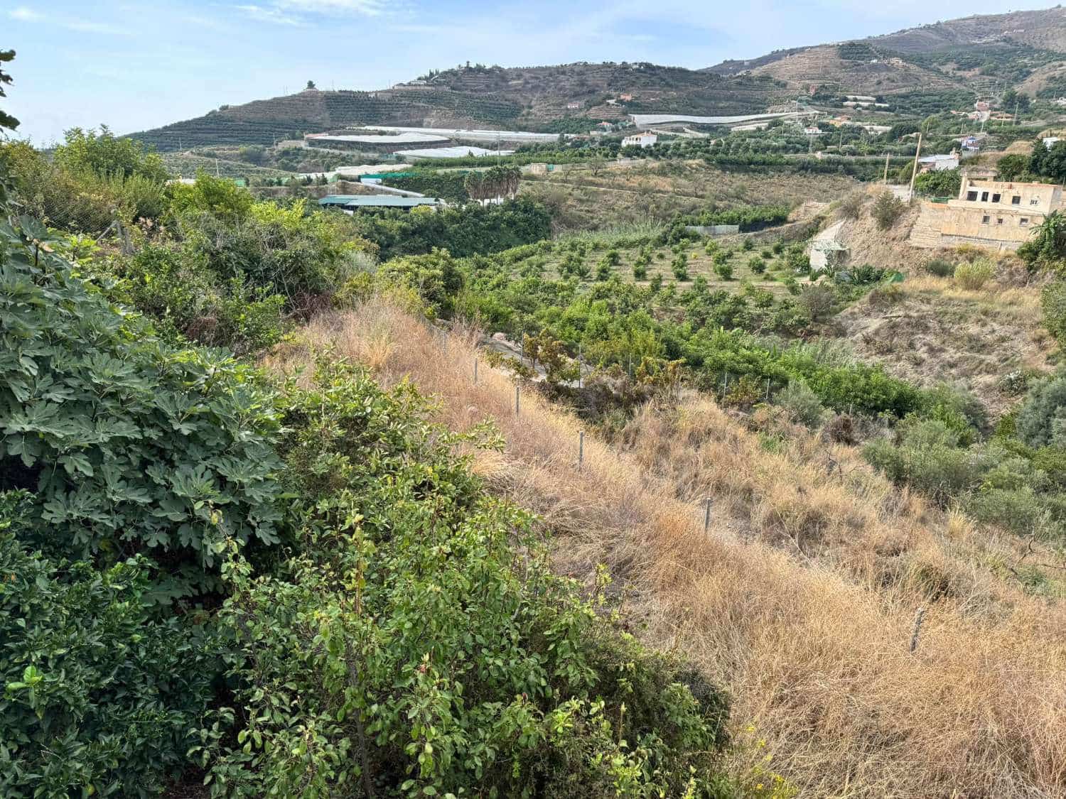 Finca/Casa Rural de 3 habitaciones en Salobreña en venta con piscina - 295.000 € (Ref: 9520682)