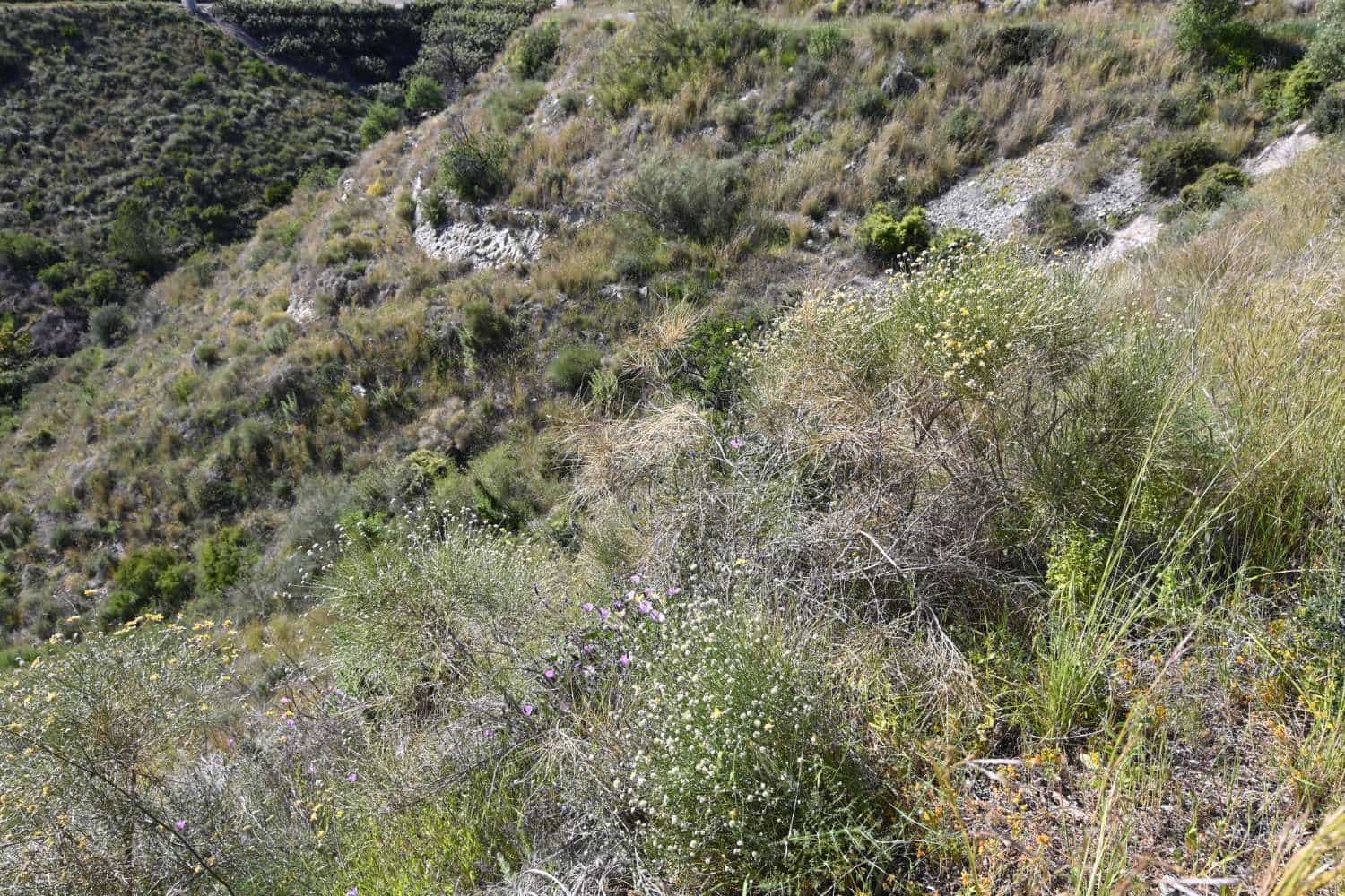 Building Plot for sale in Salobrena - € 45,000 (Ref: 9788193)