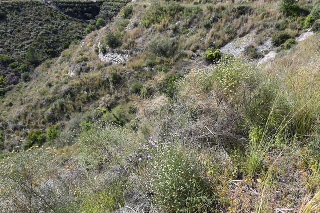 Terreno para Construção para venda em Salobreña - 45 000 € (Ref: 9788193)