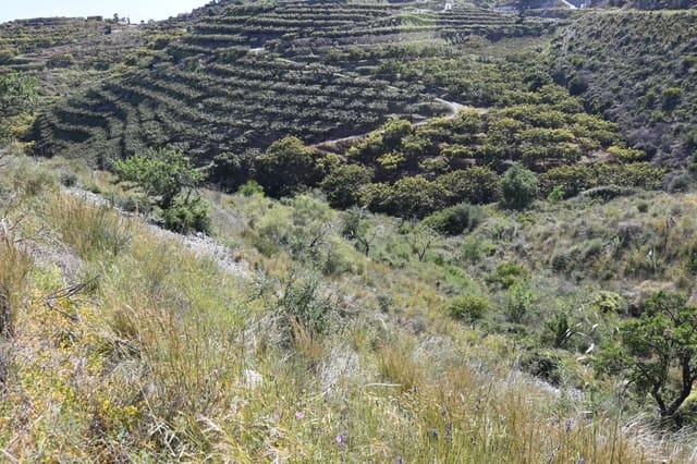 Terreno para Construção para venda em Salobreña - 45 000 € (Ref: 9788193)