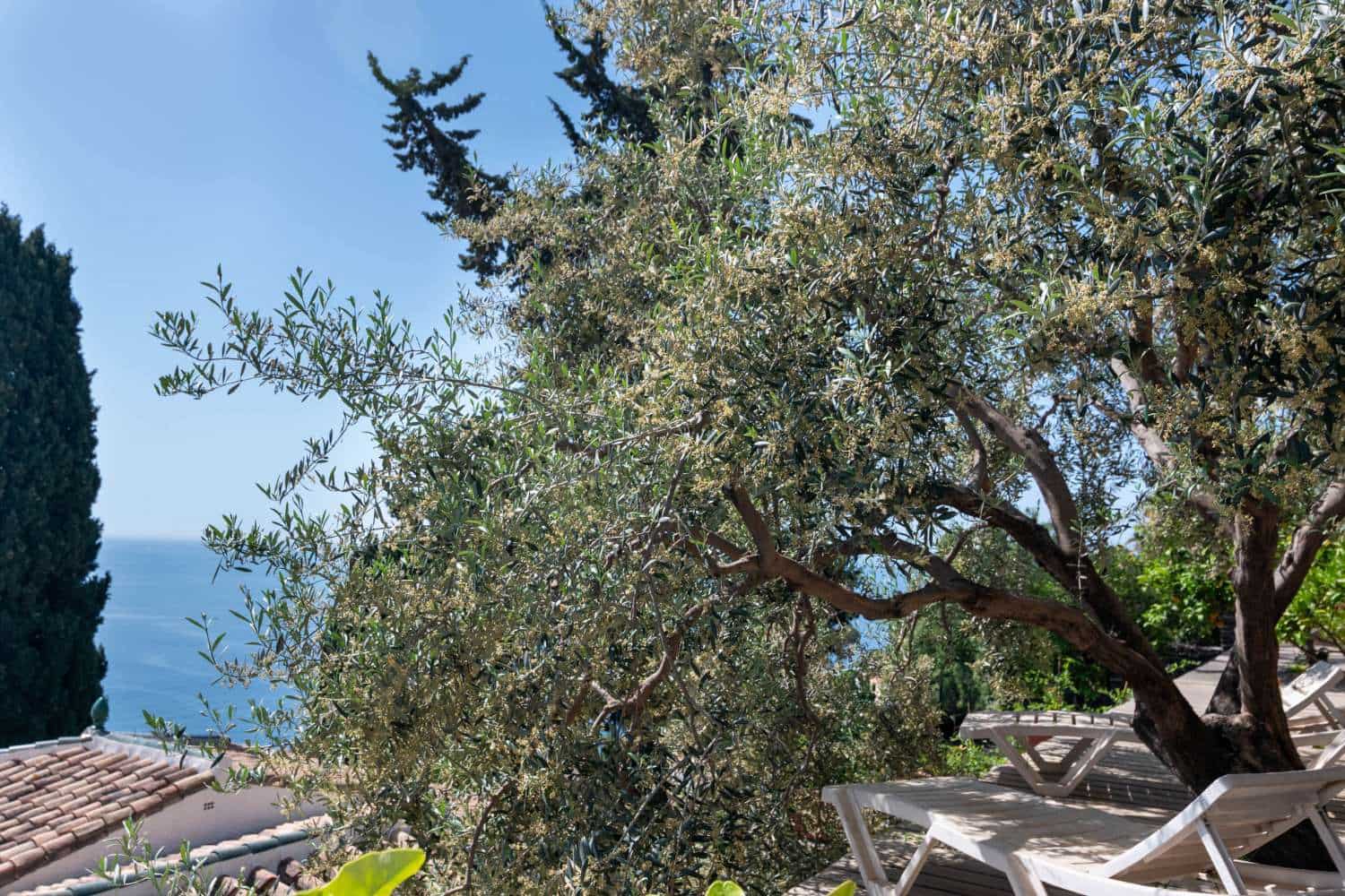 3 quarto Casa em Banda para venda em Almunecar com piscina garagem - 650 000 € (Ref: 9804067)