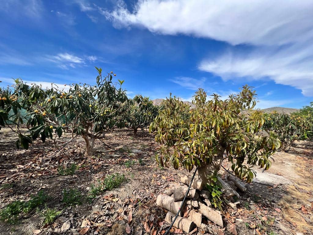 2 quarto Quinta/Casa Rural para venda em Salobrena - 270 000 € (Ref: 9974906)