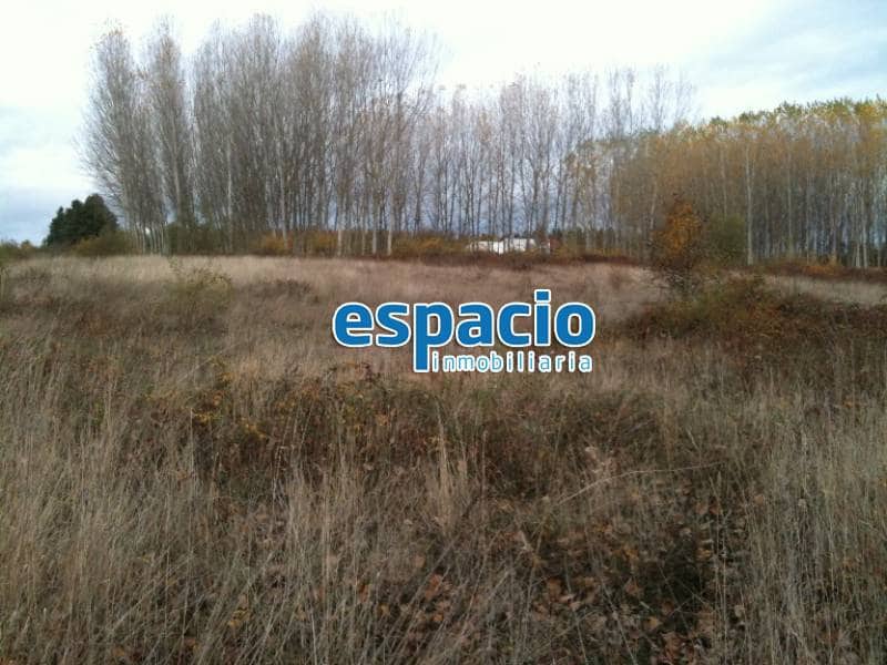 Building Plot for sale in Cubillos del Sil - € 58,000 (Ref: 1729869)