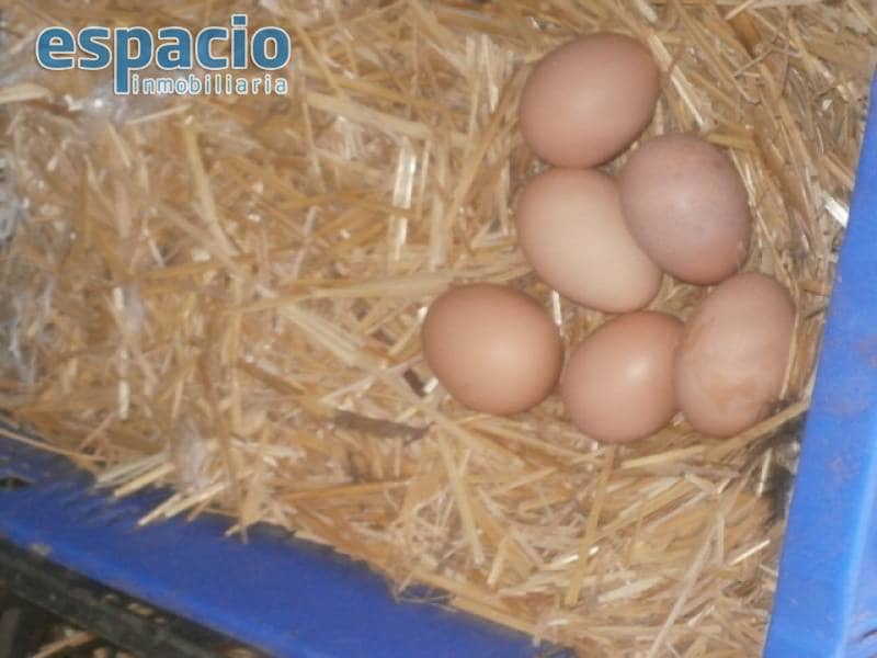 3 soveværelse Villa til salg i Ponferrada med garage - € 292.000 (Ref: 2733810)