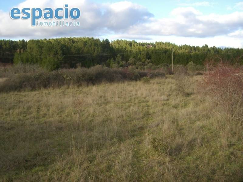 Finca/Herregård til salgs i Cueto - € 65 000 (Ref: 3621085)