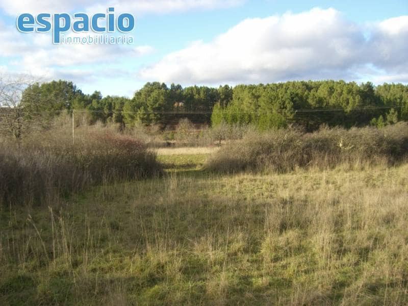 Finca/Herregård til salgs i Cueto - € 65 000 (Ref: 3621085)