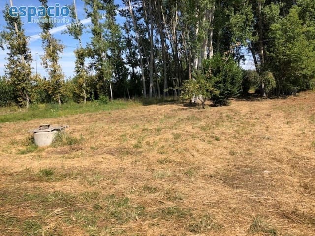 4 slaapkamer Finca/Landhuis te koop in Villadepalos, Carracedelo - € 80.000 (Ref: 4130720)