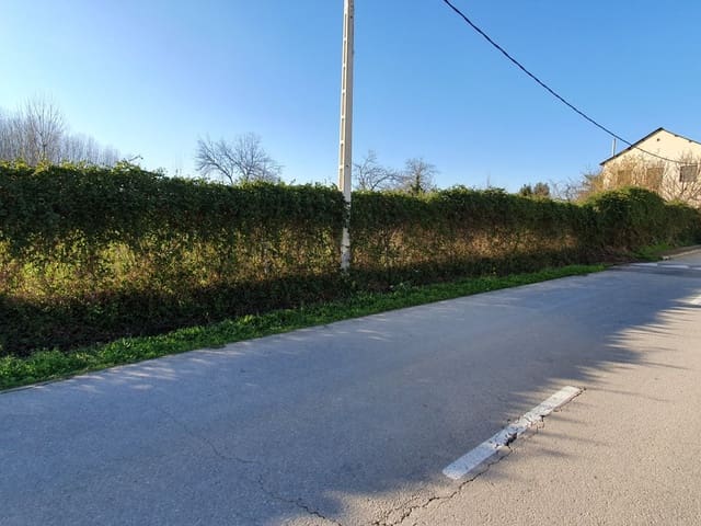 Tomt till salu i Camponaraya - 37 000 € (Ref: 6175475)