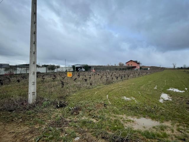 Finca/Landehus til salg i Camponaraya - € 48.000 (Ref: 8129948)