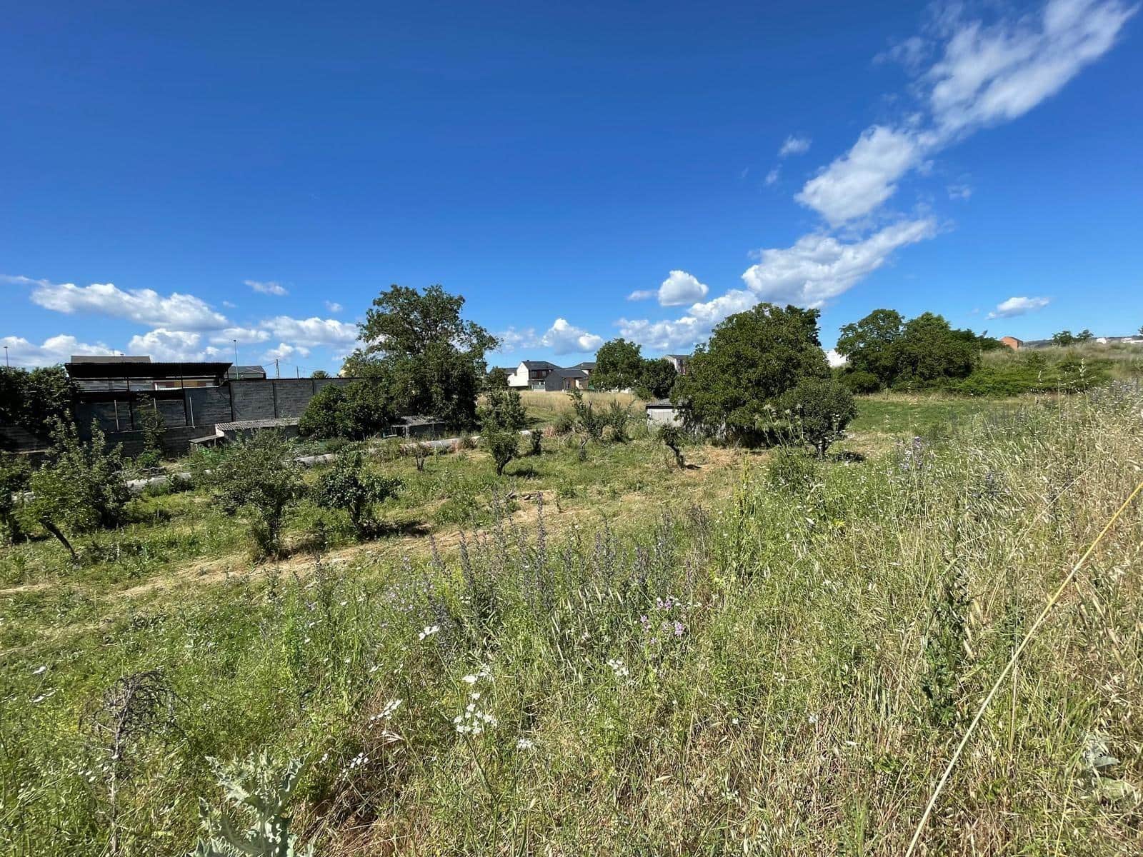 Byggegrund til salg i Ponferrada - € 185.000 (Ref: 8354364)