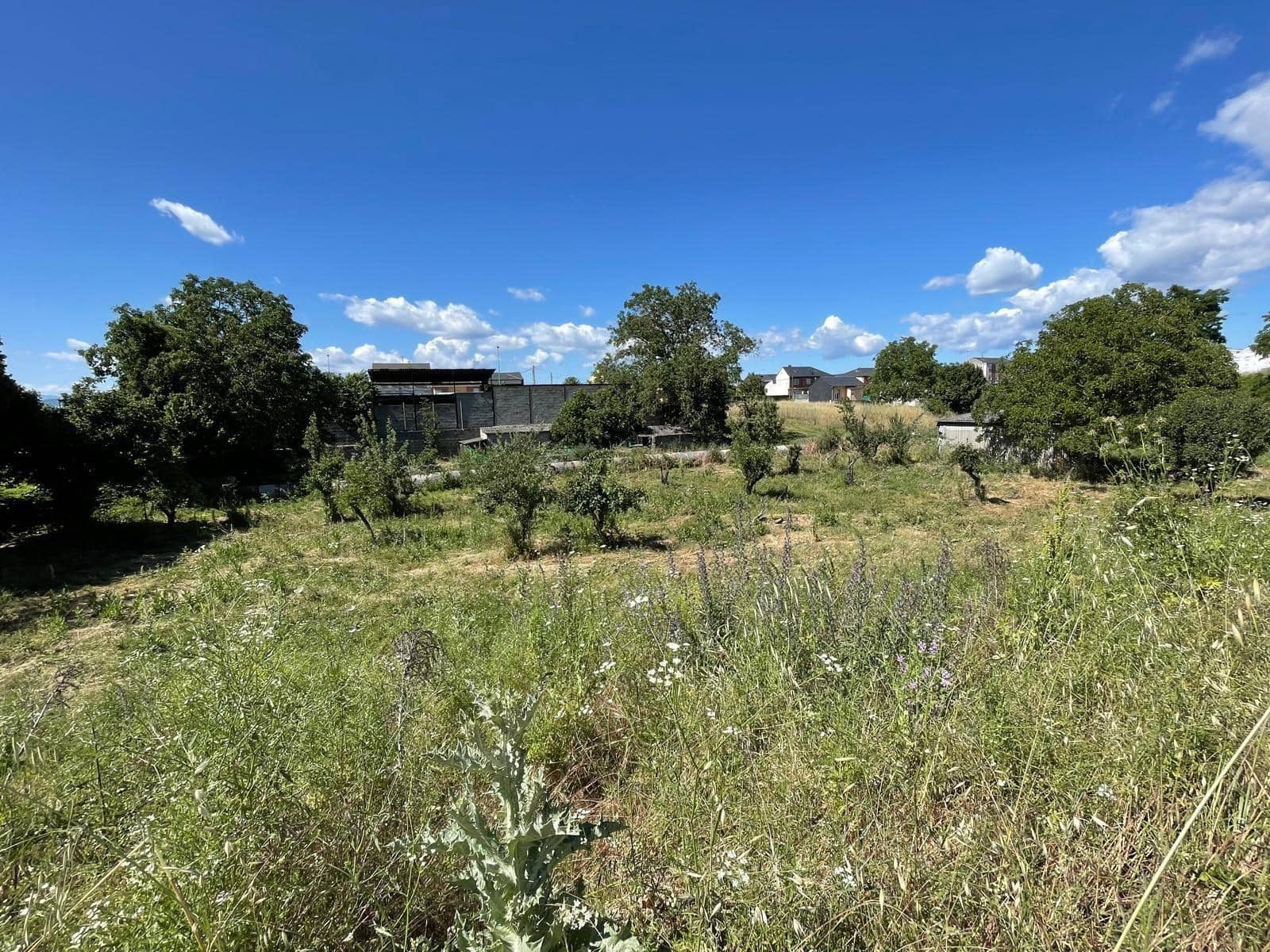 Byggegrund til salg i Ponferrada - € 185.000 (Ref: 8354364)