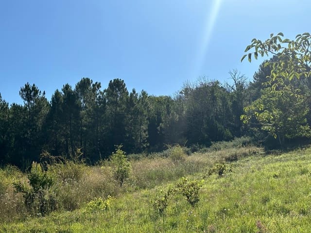 Tomt till salu i Arganza - 47 000 € (Ref: 8452043)