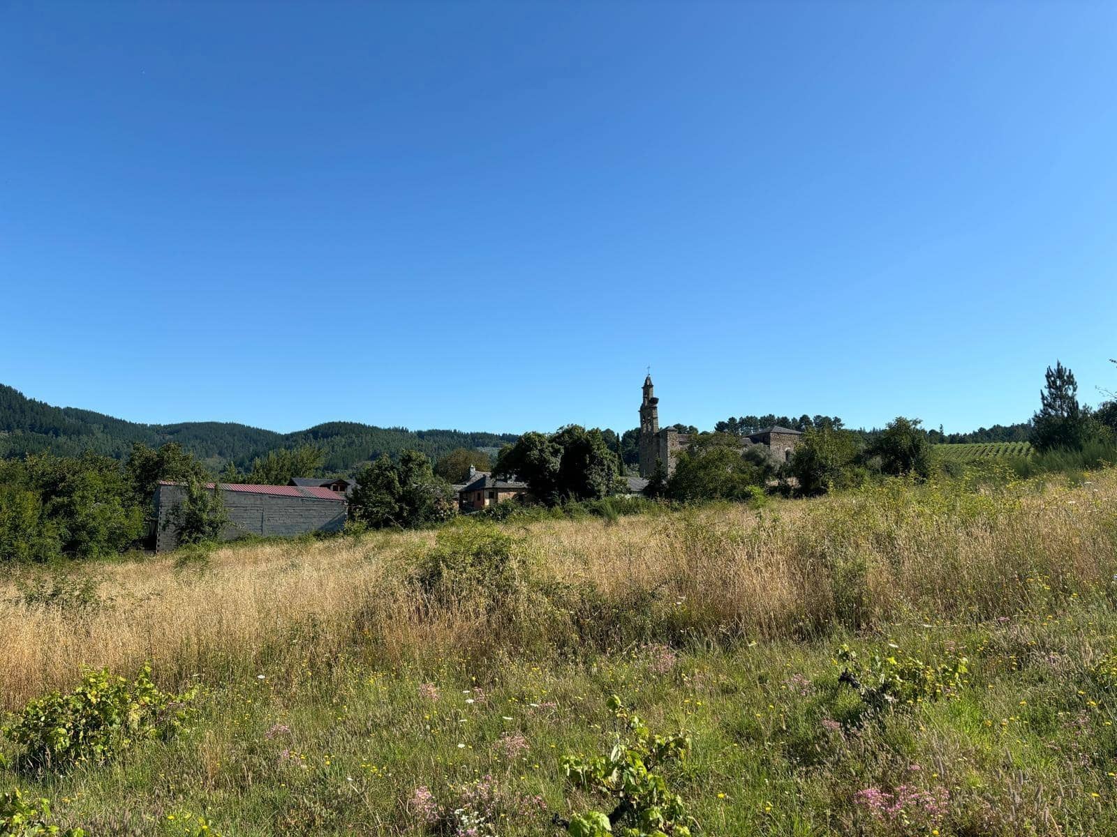 Byggegrund til salg i Arganza - € 47.000 (Ref: 8452043)