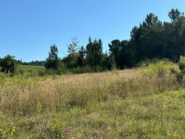 Tomt till salu i Arganza - 47 000 € (Ref: 8452043)