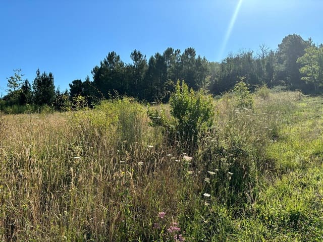 Tomt till salu i Arganza - 47 000 € (Ref: 8452043)