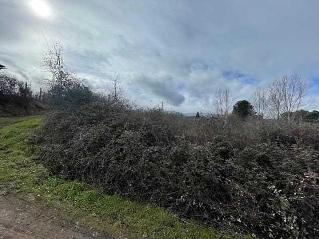 Finca/Landehus til salg i Ponferrada - € 25.000 (Ref: 8828552)