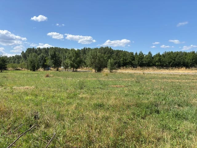 Maalaistalo myytävänä paikassa Ponferrada - 85 000 € (Ref: 9095324)