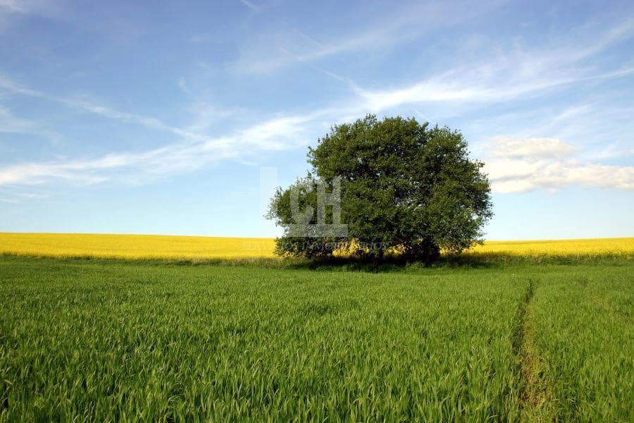 8 bedroom Finca/Country House for sale in Madrid city - € 40,000,000 (Ref: 8099866)