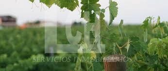 Tontti myytävänä paikassa Ciudad Real kaupunki - 3 200 000 € (Ref: 8101587)