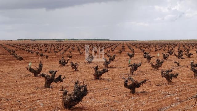 Tontti myytävänä paikassa Ciudad Real kaupunki - 3 200 000 € (Ref: 8101587)