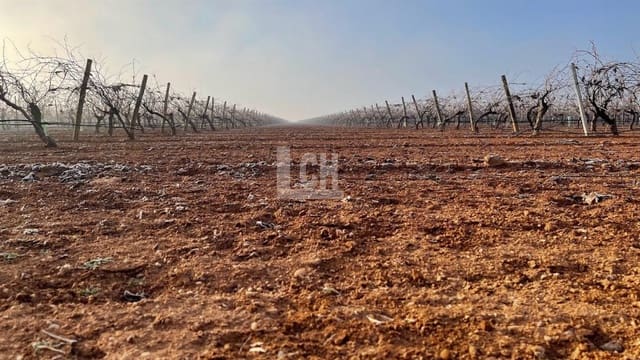 Tontti myytävänä paikassa Ciudad Real kaupunki - 3 200 000 € (Ref: 8101587)