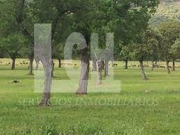 20 sypialnia Finka/Dom wiejski na sprzedaż w Alcázar de San Juan z basenem - 40 000 000 € (Ref: 8821149)