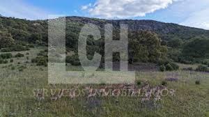 20 sypialnia Finka/Dom wiejski na sprzedaż w Alcázar de San Juan z basenem - 40 000 000 € (Ref: 8821149)