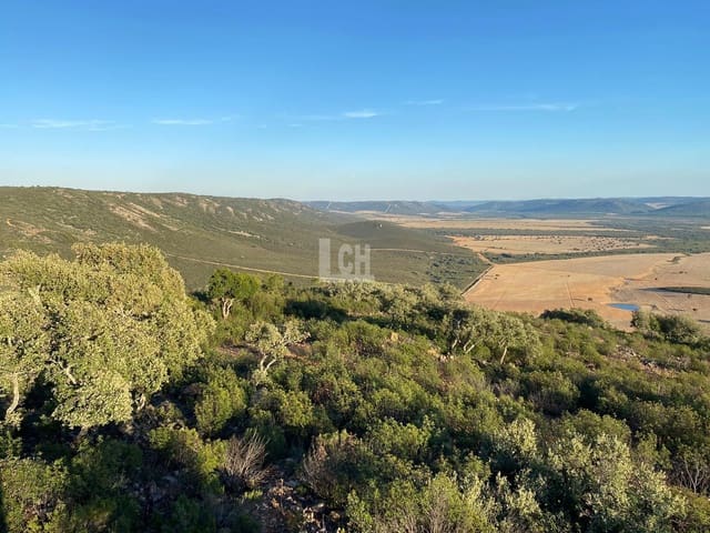 20 sypialnia Finka/Dom wiejski na sprzedaż w Alcázar de San Juan z basenem - 40 000 000 € (Ref: 8821149)