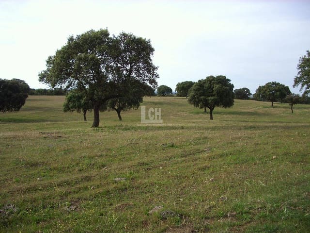 20 sypialnia Finka/Dom wiejski na sprzedaż w Alcázar de San Juan z basenem - 40 000 000 € (Ref: 8821149)