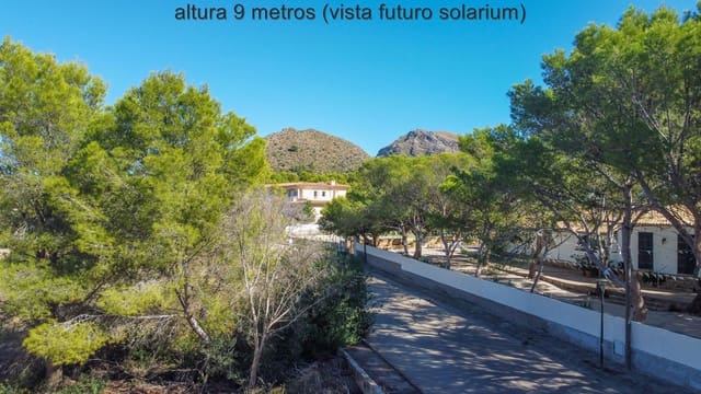 Bouwgrond te koop in Colonia de Sant Pere / Colonia de San Pedro, Artà - € 270.000 (Ref: 10176272)