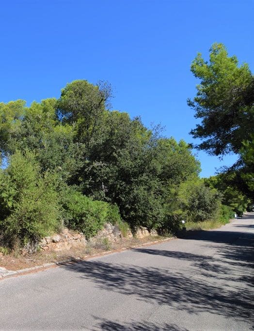 Tontti myytävänä paikassa Colonia de Sant Pere / Colonia de San Pedro - 200 000 € (Ref: 4169145)