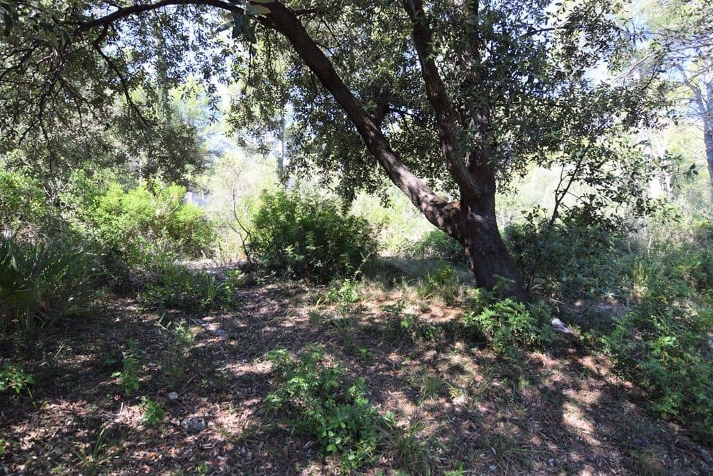 Tontti myytävänä paikassa Colonia de Sant Pere / Colonia de San Pedro - 200 000 € (Ref: 4169145)