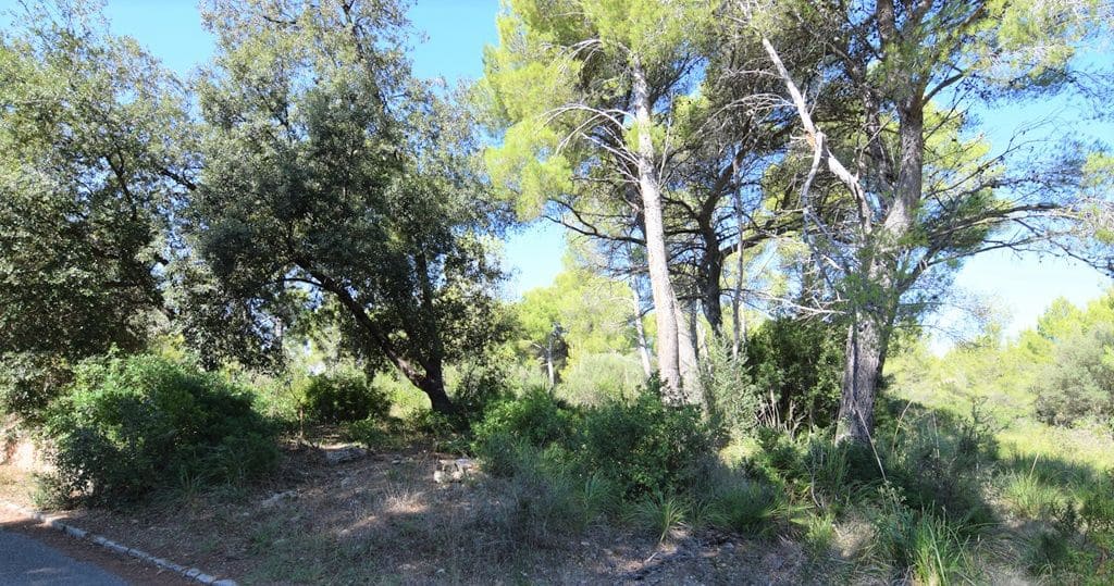 Tontti myytävänä paikassa Colonia de Sant Pere / Colonia de San Pedro - 200 000 € (Ref: 4169145)