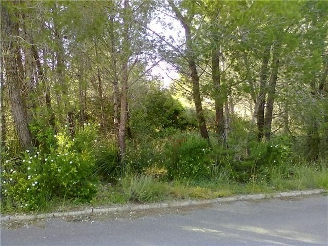 Building Plot for sale in Colonia de Sant Pere / Colonia de San Pedro, Artà - € 300,000 (Ref: 4220180)