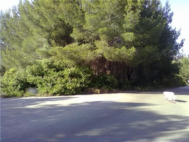 Bouwgrond te koop in Colonia de Sant Pere / Colonia de San Pedro - € 300.000 (Ref: 4220180)