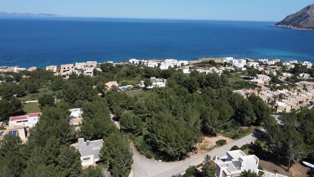 Building Plot for sale in Colonia de Sant Pere / Colonia de San Pedro, Artà - € 300,000 (Ref: 4220180)