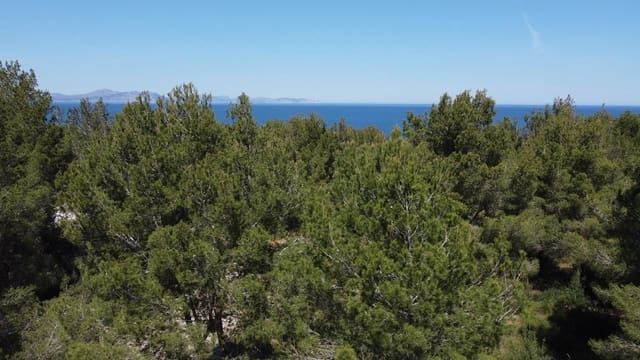 Building Plot for sale in Colonia de Sant Pere / Colonia de San Pedro, Artà - € 300,000 (Ref: 4220180)