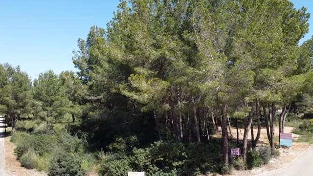 Building Plot for sale in Colonia de Sant Pere / Colonia de San Pedro, Artà - € 300,000 (Ref: 4220180)