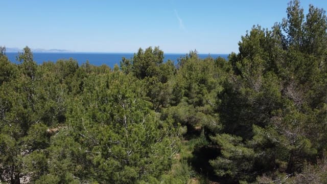 Building Plot for sale in Colonia de Sant Pere / Colonia de San Pedro, Artà - € 300,000 (Ref: 4220180)