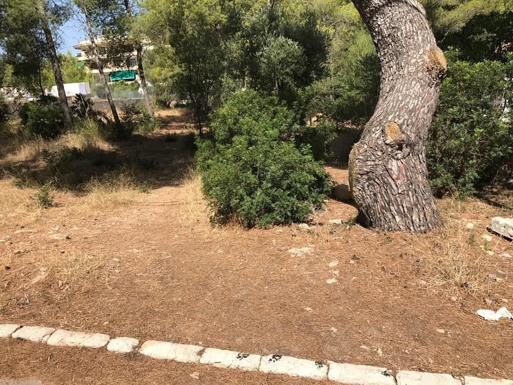 Area Edificabile in vendita in Colonia de Sant Pere / Colonia de San Pedro - 195.000 € (Rif: 4222488)