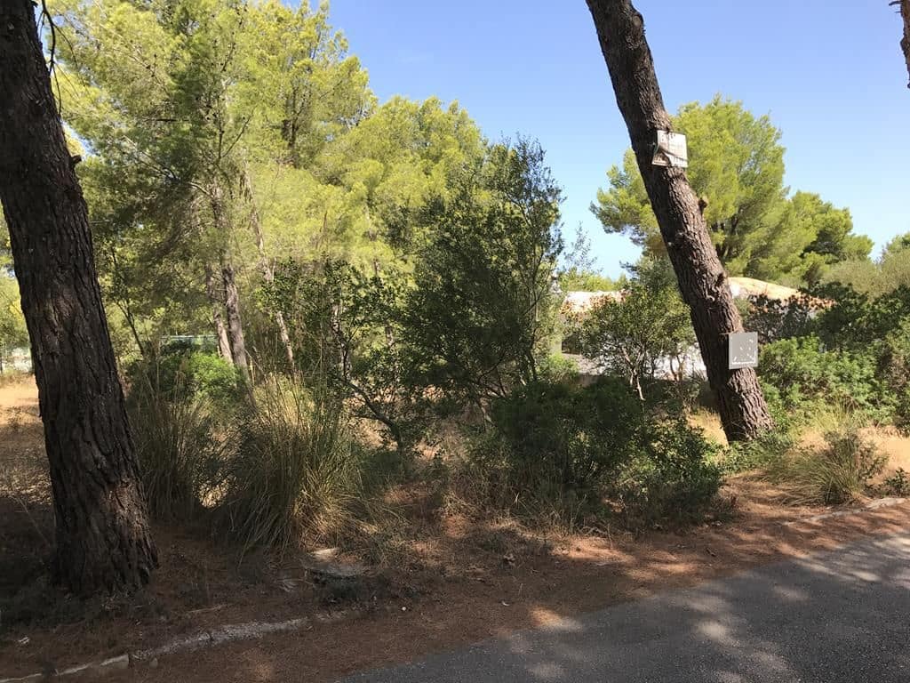 Area Edificabile in vendita in Colonia de Sant Pere / Colonia de San Pedro - 195.000 € (Rif: 4222488)