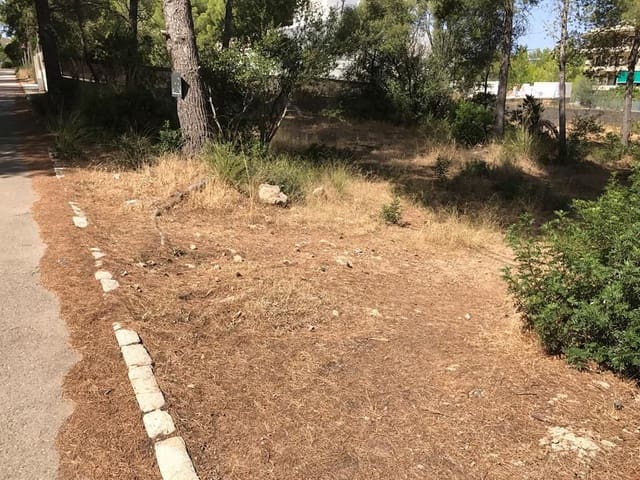 Building Plot for sale in Colonia de Sant Pere / Colonia de San Pedro, Artà - € 195,000 (Ref: 4222488)