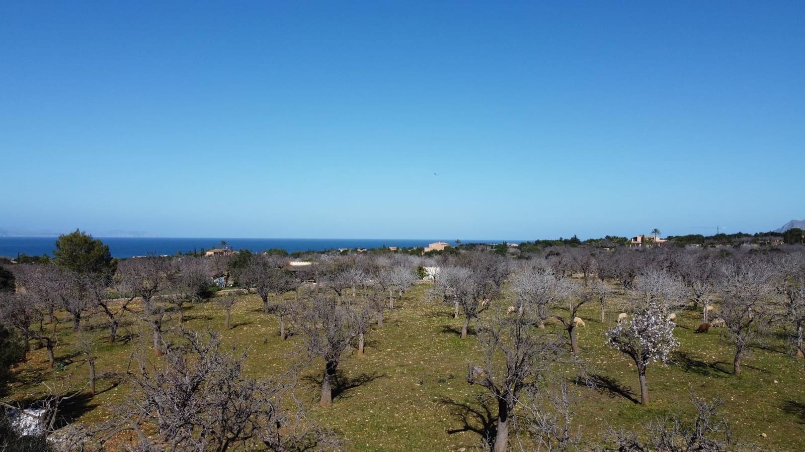 1 quarto Quinta/Casa Rural para venda em Colonia de Sant Pere / Colonia de San Pedro - 600 000 € (Ref: 7402230)