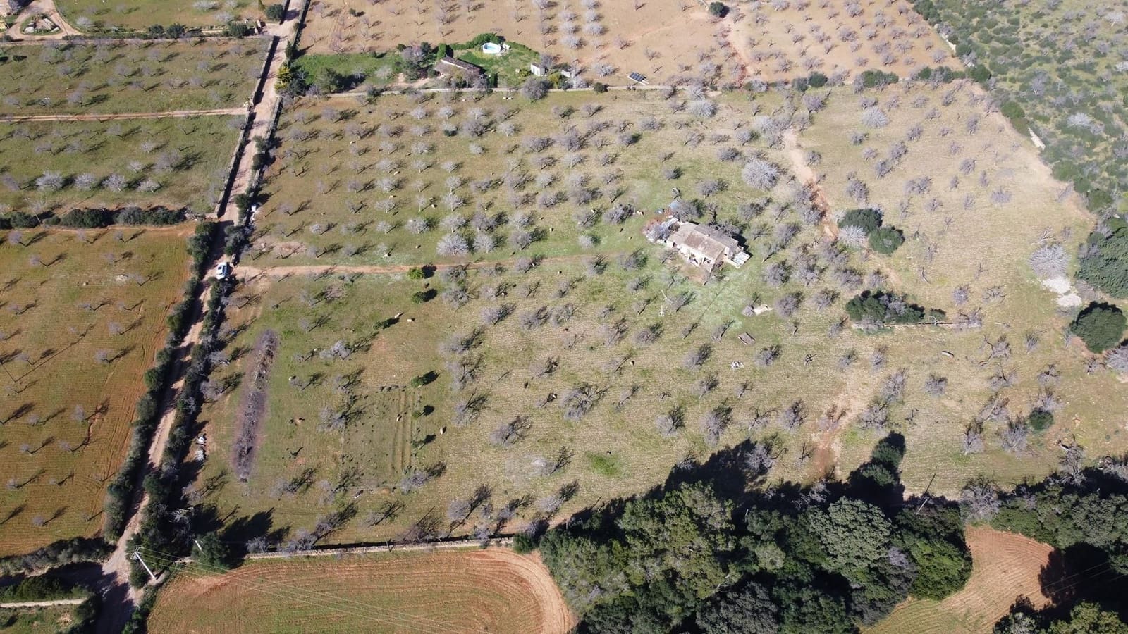 1 quarto Quinta/Casa Rural para venda em Colonia de Sant Pere / Colonia de San Pedro - 600 000 € (Ref: 7402230)