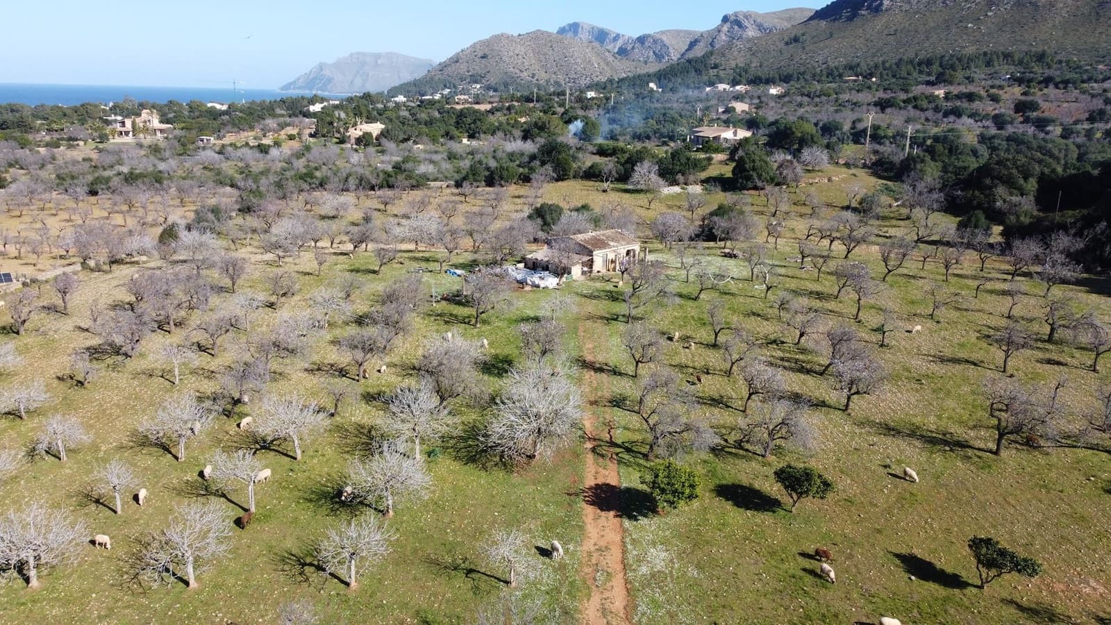 1 quarto Quinta/Casa Rural para venda em Colonia de Sant Pere / Colonia de San Pedro - 600 000 € (Ref: 7402230)